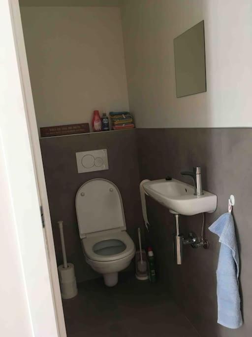 'Het T-Huisje' Volledig Ingerichte Studio Leuven Exteriör bild